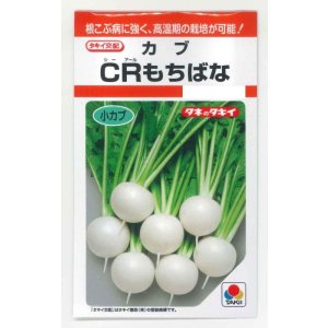 画像: 送料無料　[かぶ]　ＣＲもちばな　3.5ml　タキイ種苗(株)　RF