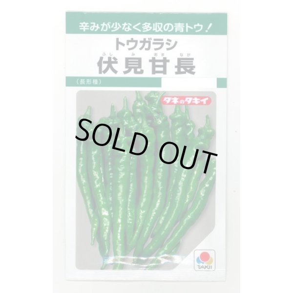 画像1: 送料無料　[とうがらし]　伏見甘長　180粒　タキイ種苗(株)　GF (1)
