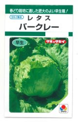 画像: 送料無料　[レタス]　バークレー　小袋　タキイ種苗(株)　GF