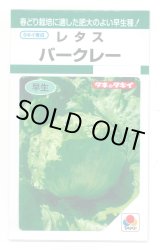 画像: 送料無料　[レタス]　バークレー　小袋　タキイ種苗(株)　GF