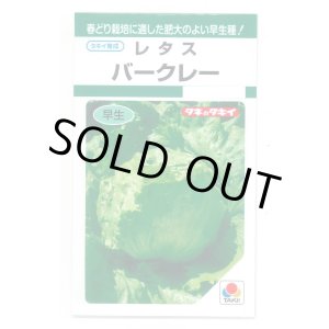 画像: 送料無料　[レタス]　バークレー　小袋　タキイ種苗(株)　GF