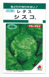 画像: 送料無料　[レタス]　シスコ　0.9ml　(およそ466粒)　タキイ種苗(株)　GF