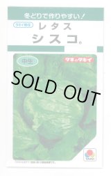 画像: 送料無料　[レタス]　シスコ　0.9ml　(およそ466粒)　タキイ種苗(株)　GF