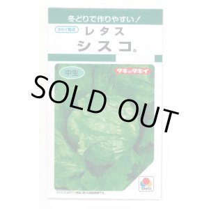 画像: 送料無料　[レタス]　シスコ　0.9ml　(およそ466粒)　タキイ種苗(株)　GF