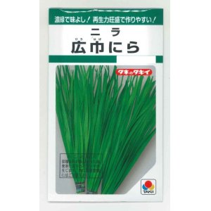 画像: [葉物]　にら　広巾にら　13ml　タキイ種苗　GF　