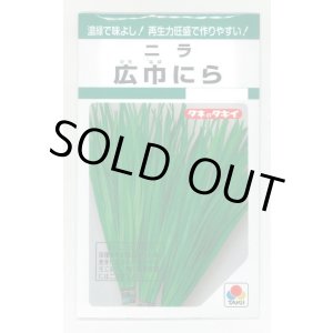 画像: 送料無料　にら　広巾にら　13ml　タキイ種苗　GF