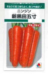 画像: 送料無料　[人参]　新黒田五寸　タキイ種苗　GF
