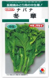 画像: 送料無料　冬華　5ml　タキイ種苗(株)　GF