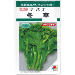 画像: 送料無料　冬華　5ml　タキイ種苗(株)　GF