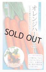 画像: 送料無料　[人参]　オレンジハーモニー　1万粒　丸種(株)