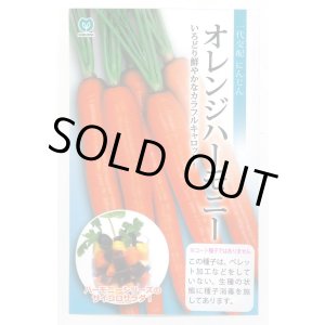 画像: 送料無料　[人参]　オレンジハーモニー　1000粒　丸種(株)