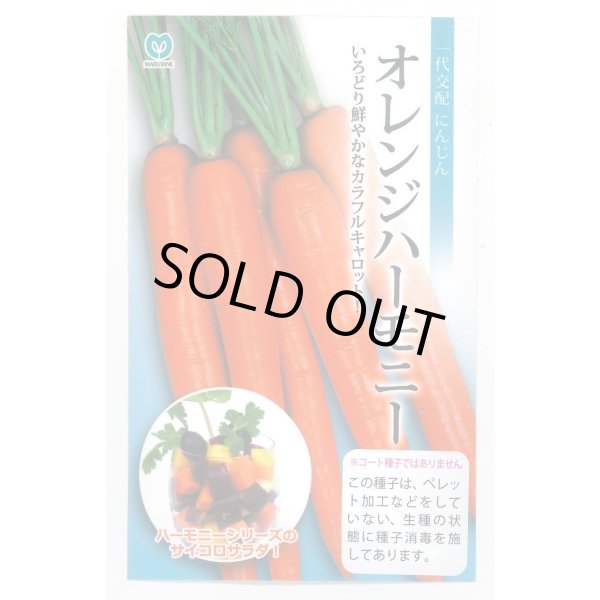 画像1: 送料無料　[人参]　オレンジハーモニー　1000粒　丸種(株) (1)