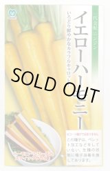 画像: 送料無料　[人参]　イエローハーモニー　1000粒　丸種(株)