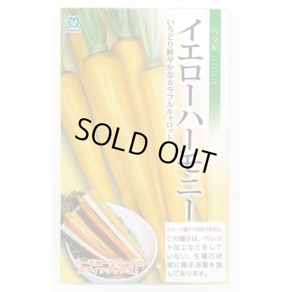 画像1: 送料無料　[人参]　イエローハーモニー　1000粒　丸種(株) (1)