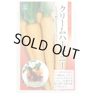 画像: 送料無料　[人参]　クリームハーモニー　1000粒　丸種(株)
