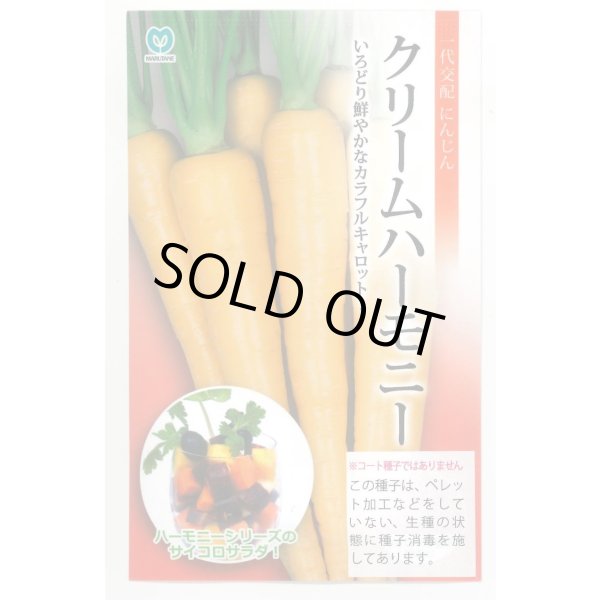 画像1: 送料無料　[人参]　クリームハーモニー　1000粒　丸種(株) (1)