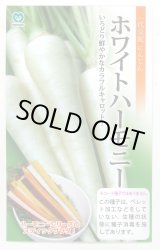画像: 送料無料　[人参]　ホワイトハーモニー　1000粒　丸種(株)