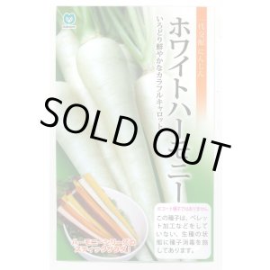 画像: 送料無料　[人参]　ホワイトハーモニー　1000粒　丸種(株)