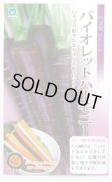 画像: 送料無料　[人参]　バイオレットハーモニー　1000粒　丸種(株)