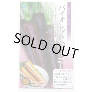 画像: 送料無料　[人参]　バイオレットハーモニー　1000粒　丸種(株)