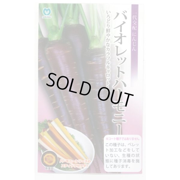 画像1: 送料無料　[人参]　バイオレットハーモニー　1000粒　丸種(株) (1)