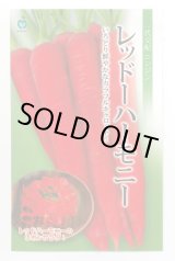 画像: 送料無料　[人参]　レッドハーモニー　1000粒　丸種(株)