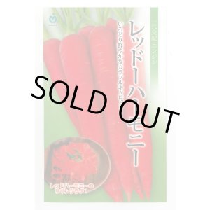 画像: 送料無料　[人参]　レッドハーモニー　1000粒　丸種(株)