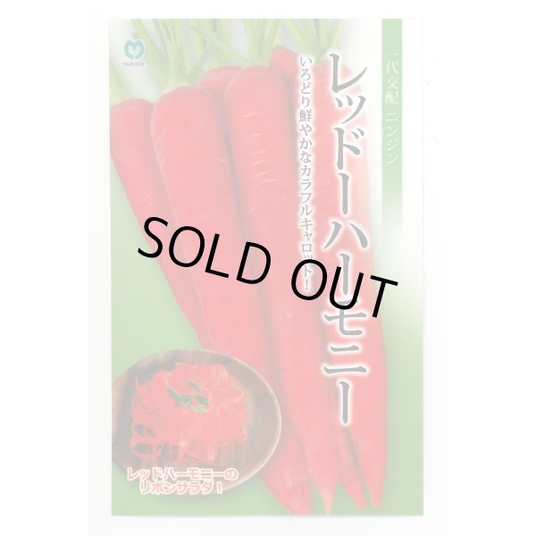 画像1: 送料無料　[人参]　レッドハーモニー　1000粒　丸種(株) (1)