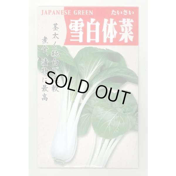 画像1: 送料無料　雪白体菜　7ml　丸種(株) (1)