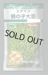 画像: 送料無料　[枝豆]　鶴の子大豆　60ml(およそ70粒)　タキイ種苗　GF
