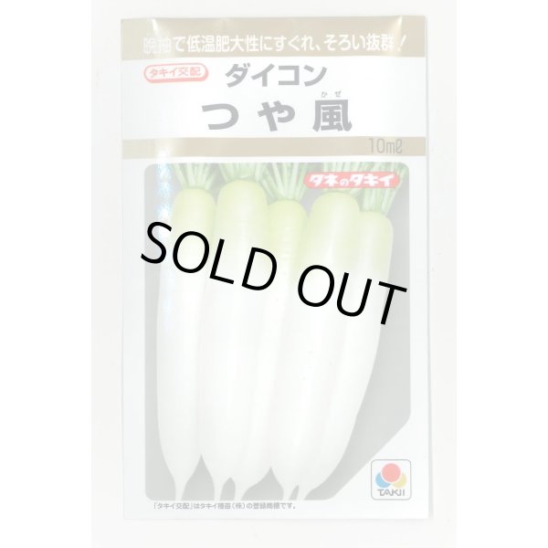 画像1: 送料無料 [大根] つや風 10ml タキイ種苗(株) (1)