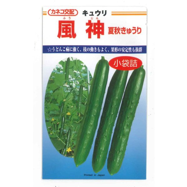 画像1: 送料無料　[キュウリ]　風神　10粒　カネコ種苗（株） (1)