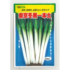 画像: [ねぎ]　東京冬黒一本太　20ml　トキタ種苗（株）