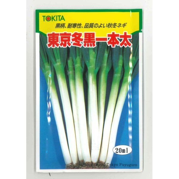 画像1: [ねぎ]　東京冬黒一本太　20ml　トキタ種苗（株） (1)