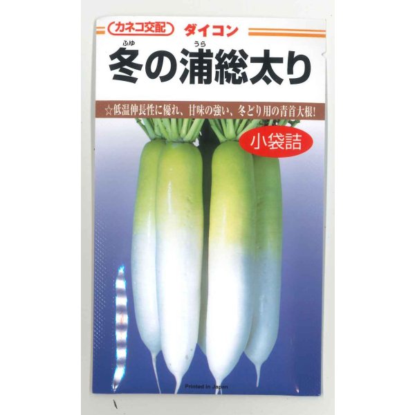 画像1: [大根] 冬の浦総太り 5ml カネコ種苗（株） (1)