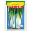 画像1: 送料無料　[ねぎ]　汐止晩生葱　20ml　トキタ種苗(株) (1)