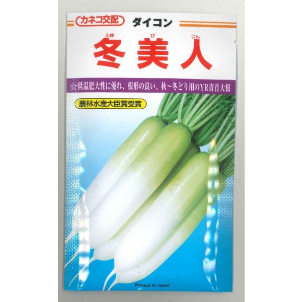 画像1: [大根] 冬美人 20ml カネコ種苗（株） (1)