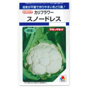 画像: 送料無料　[カリフラワー]　スノードレス　1.2ml　タキイ種苗(株)　DF