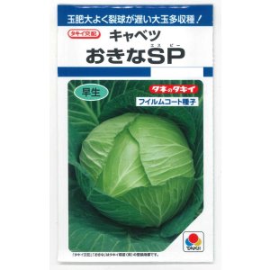 画像: 送料無料　[キャベツ]　おきなSP　180粒　タキイ種苗(株)　DF