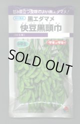 画像: 送料無料　[枝豆]　快豆黒頭巾　80ml　タキイ種苗(株)　PF