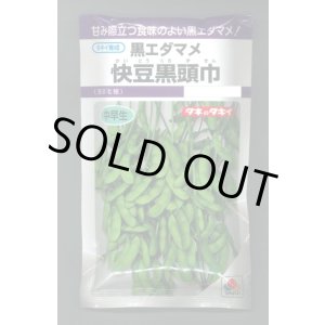 画像: 送料無料　[枝豆]　快豆黒頭巾　90ml(およそ150粒)　タキイ種苗(株)　PF