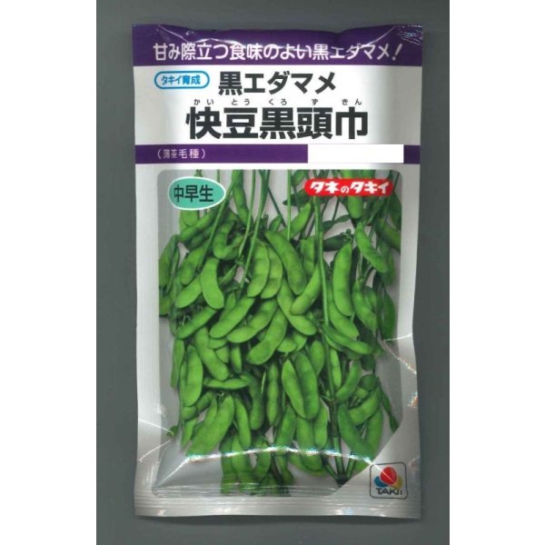 画像1: 送料無料　[枝豆]　快豆黒頭巾　90ml(およそ150粒)　タキイ種苗(株)　PF (1)