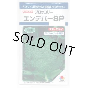 画像: [ブロッコリー]　エンデバーＳＰ　150粒　タキイ種苗（株）　DF　