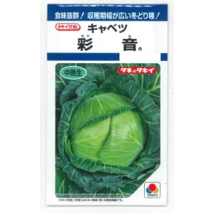 画像: 送料無料　[キャベツ]　彩音　1.2ml(約210粒)　タキイ種苗(株)　DF