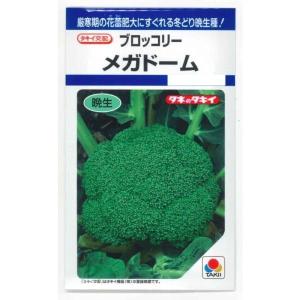 画像1: [ブロッコリー] メガドーム 1.1ml 貴種(コートしてません) タキイ種苗(株) DF (1)