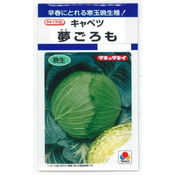 画像1: [キャベツ] 夢ごろも 1.1ml タキイ種苗(株) DF (1)