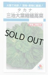 画像: 送料無料　[葉物]　三池大葉縮緬高菜　3.5ml　タキイ種苗　MF