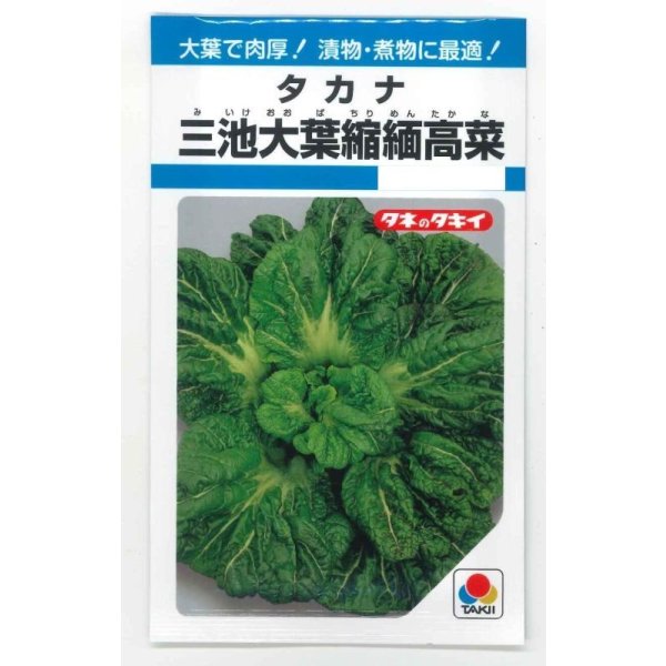 画像1: 送料無料　三池大葉縮緬高菜　3.5ml　タキイ種苗　MF (1)