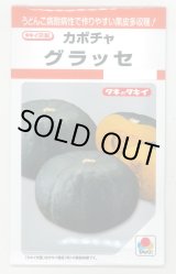 画像: 送料無料　[かぼちゃ]　グラッセ　9粒　タキイ種苗　RF