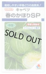 画像: 送料無料　[キャベツ]　春のかほりSP　150粒　タキイ種苗(株)　DF